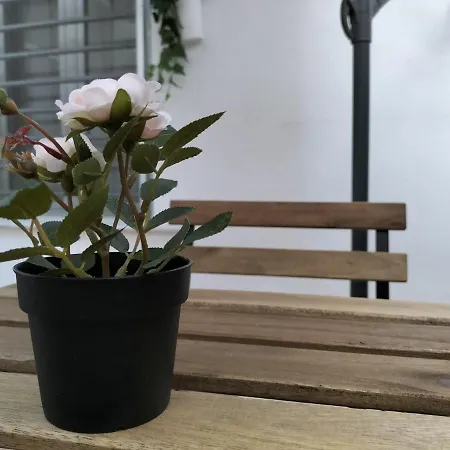 Apartamento Hospital - Garden *